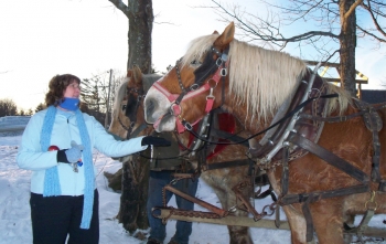 Horse drawn sleigh ride in southern Vermont