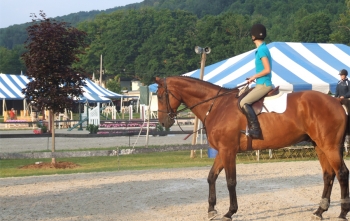 Vermont Summer Festival Horse Show