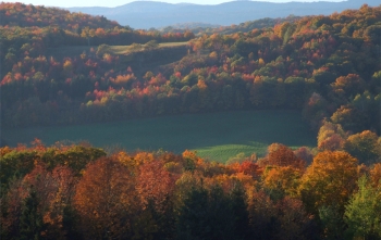 breathtaking fall foliage vermont