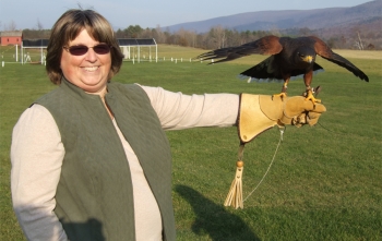 Falconry Lesson in Manchester VT