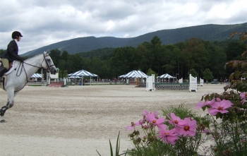 Hunter/Jumpers at VT Summer Festival Horse Show