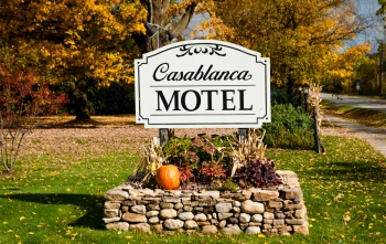 Visit a Pumpkin Patch