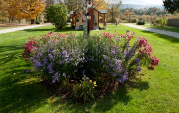 Gardens Blooming at Casablanca Motel