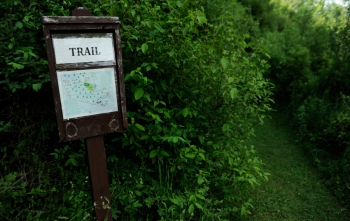 Walking Paths and Botanical Trails