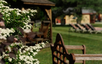 Springtime in Southern Vermont