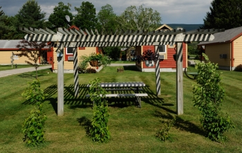 Summertime in Southern Vermont