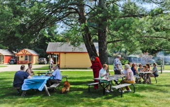 Picnic with Friends