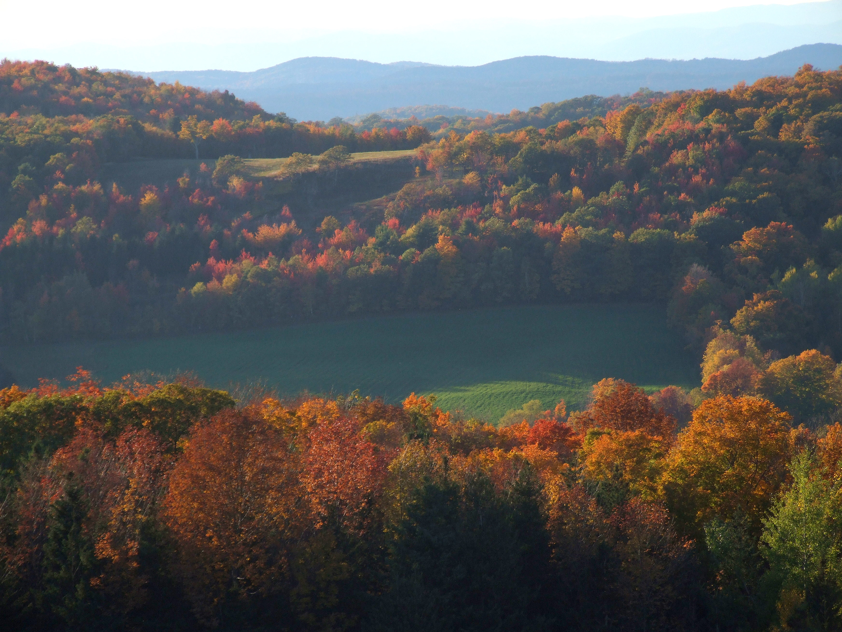 This is what Vermont is all about-from the top of Merck Forest road